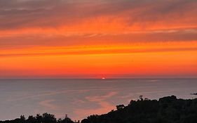 Bed And Breakfast Dimora Degli Ulivi